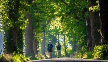 routes homesport events