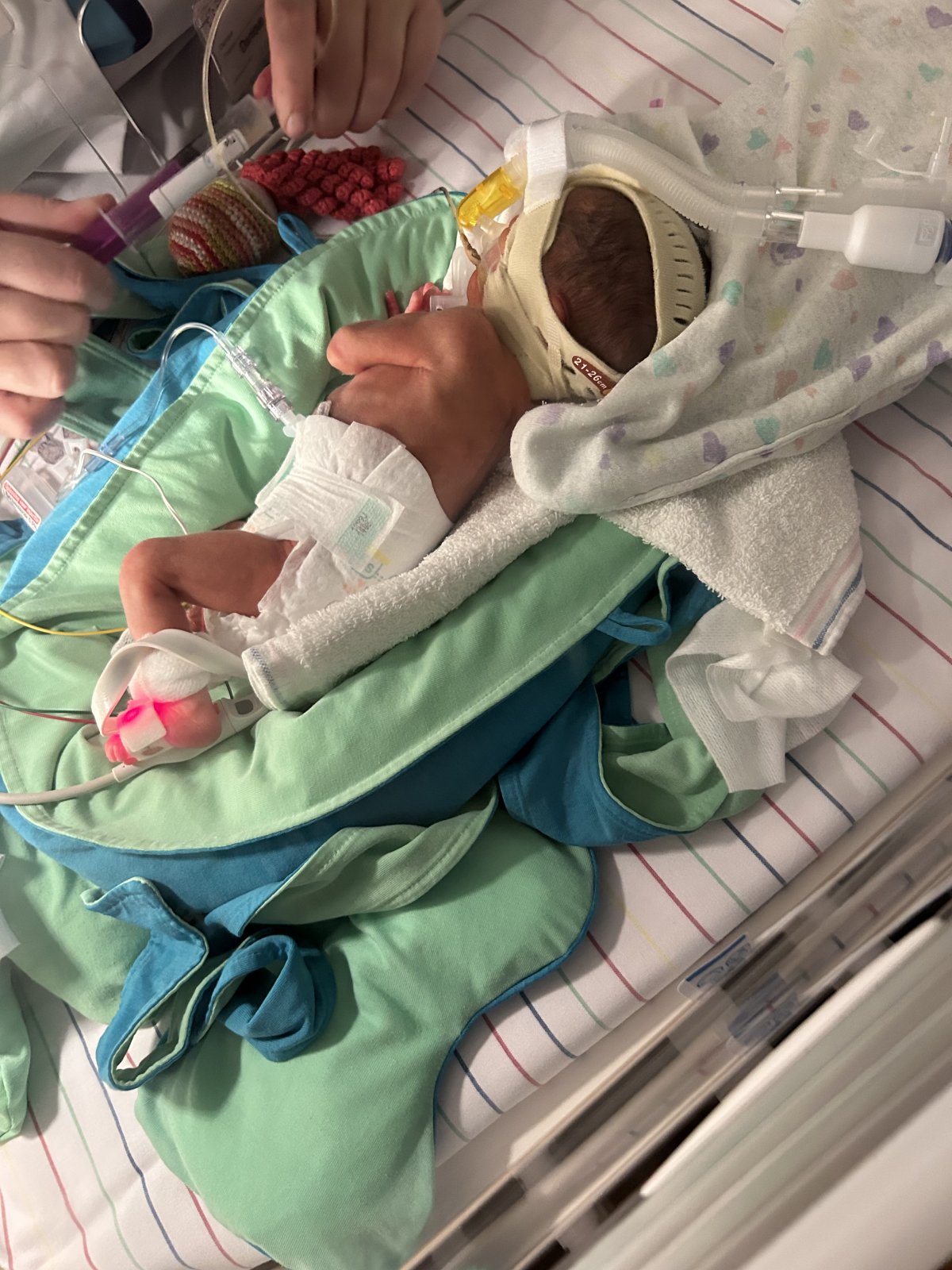 Tess
